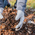 Mulching and Composting: The Ultimate Guide for Leaf Removal Services