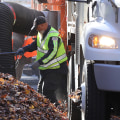 Collection Schedule and Restrictions: The Complete Guide for Leaf Removal Services