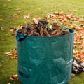 Eco-Friendly Leaf Bags and Containers: The Sustainable Solution for Fall Leaf Removal