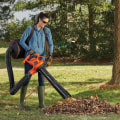 Professional Raking and Bagging: The Best Solutions for Leaf Removal