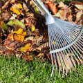 Creative Ways to Repurpose Leaves: Eco-Friendly Options for Leaf Removal