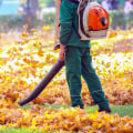Tips for Leaf Blowing and Vacuuming: Professional and Eco-Friendly Solutions