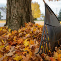 Eco-Friendly Leaf Removal Options: A Comprehensive Guide