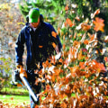 Frequency and Timing of Services: Finding the Best Leaf Removal Solutions