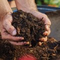 Options for composting or mulching on-site