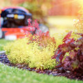 Year-Round Leaf Maintenance Plans: The Ultimate Guide to Professional and Affordable Solutions