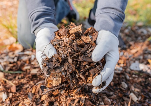 Mulching and Composting: The Ultimate Guide for Leaf Removal Services