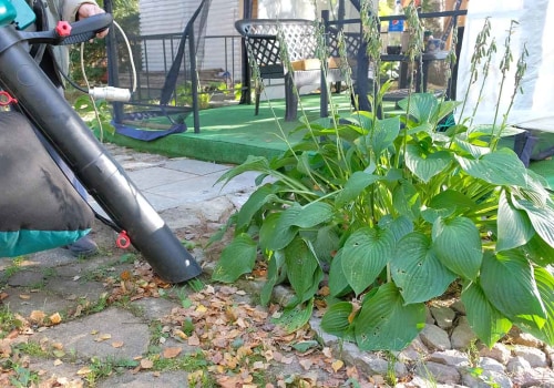 Specialized Equipment for Efficient Leaf Removal