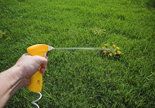 Non-toxic Herbicides and Pesticides: A Safe and Eco-friendly Solution for Leaf Removal