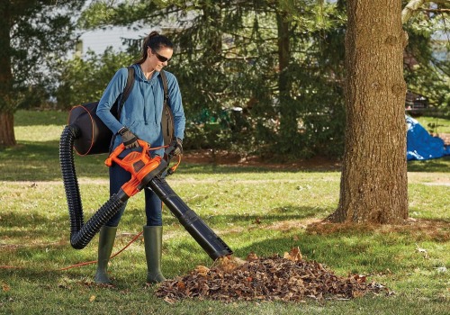 Professional Raking and Bagging: The Best Solutions for Leaf Removal