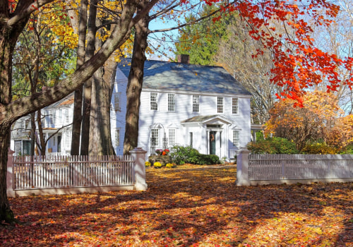 Exploring Eco-Friendly Leaf Removal Options