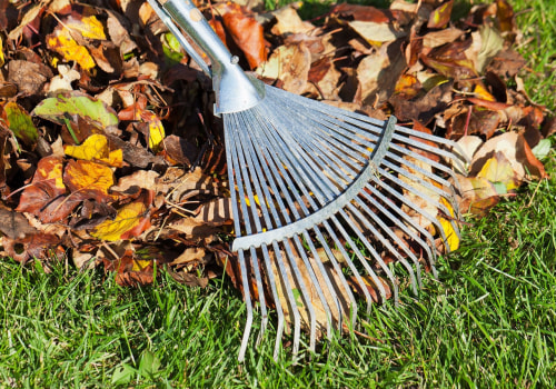 Creative Ways to Repurpose Leaves: Eco-Friendly Options for Leaf Removal