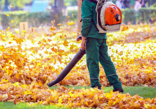 Tips for Leaf Blowing and Vacuuming: Professional and Eco-Friendly Solutions