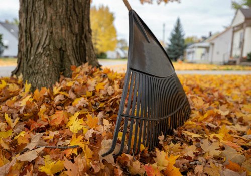 Eco-Friendly Leaf Removal Options: A Comprehensive Guide