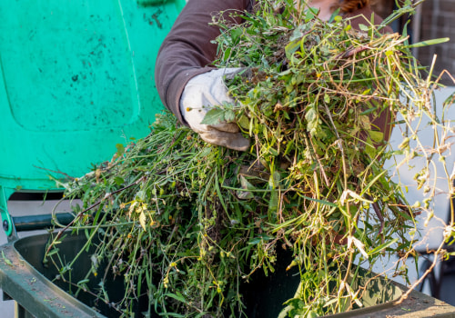 Proper Disposal of Leaves: Protecting the Environment and Your Wallet