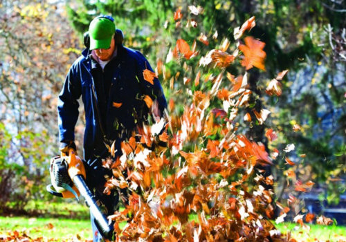 Frequency and Timing of Services: Finding the Best Leaf Removal Solutions