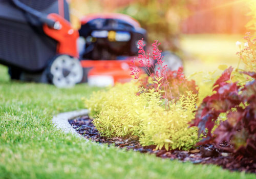 Year-Round Leaf Maintenance Plans: The Ultimate Guide to Professional and Affordable Solutions