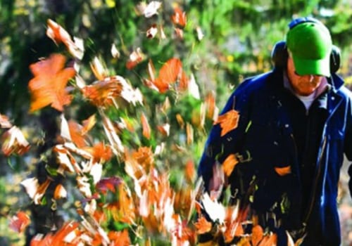 Guidelines for Curbside Leaf Pickup: Professional and Affordable Solutions for Leaf Removal